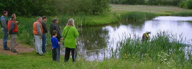 Watching the recovery from the bank